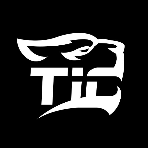 TIGERXBANG Coupons and Promo Code