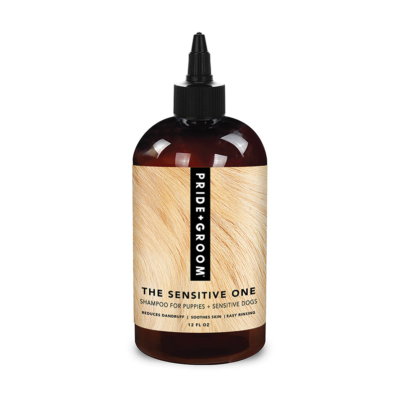 PRIDE+GROOM The Sensitive One Dog Shampoo Review